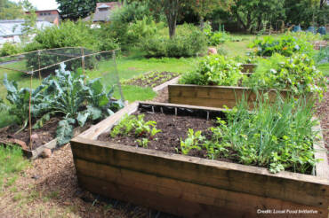 Raised beds. Ergonomics or fad?