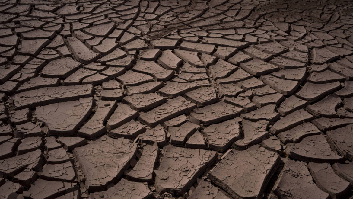 Beyond Drought Tolerance: Designing Gardens for an Uncertain Climate