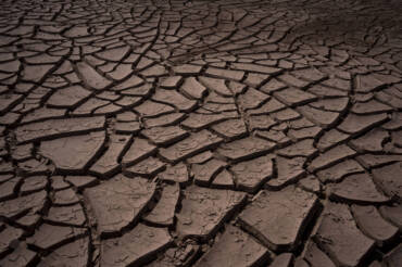 Beyond Drought Tolerance: Designing Gardens for an Uncertain Climate