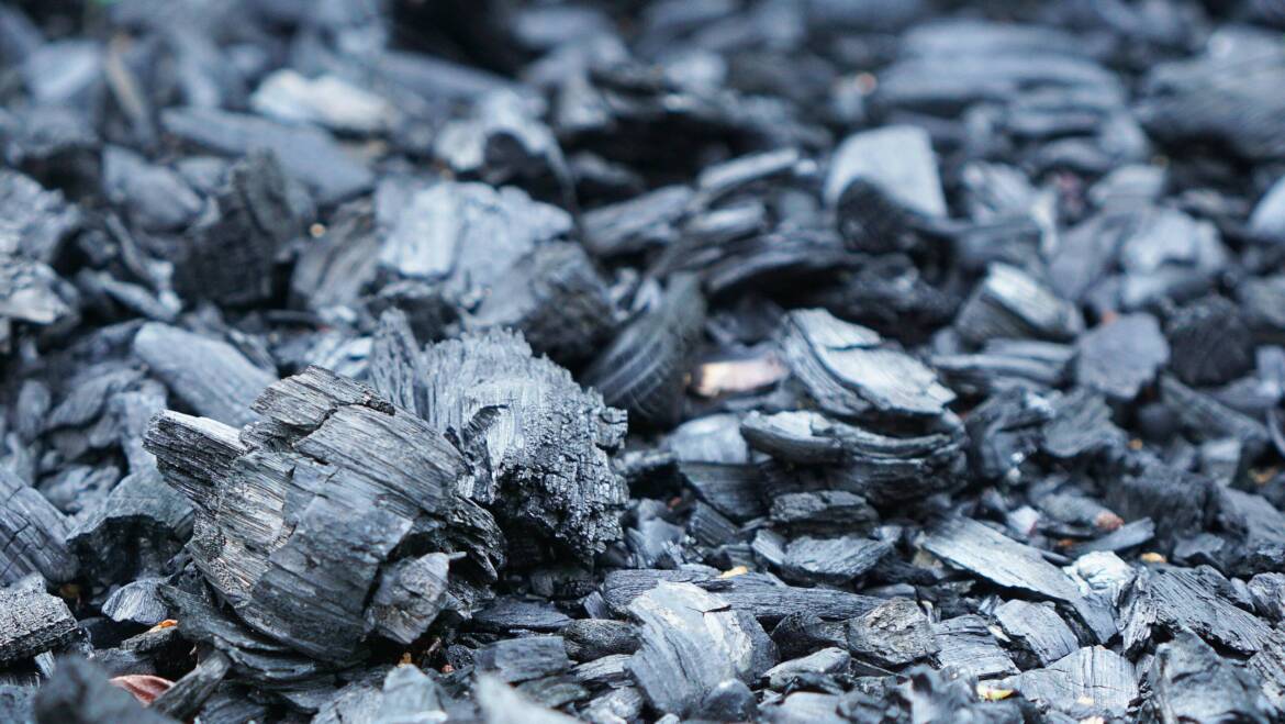 Biochar as an alternative growing media to peat
