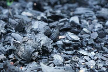 Biochar as an alternative growing media to peat